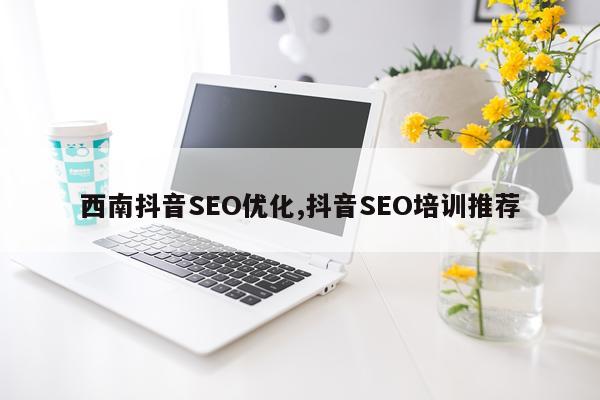 西南抖音SEO优化,抖音SEO培训推荐