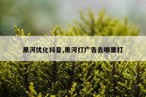 黑河优化抖音,黑河打广告去哪里打