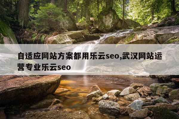 自适应网站方案都用乐云seo,武汉网站运营专业乐云seo