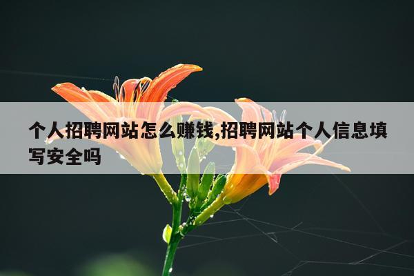 个人招聘网站怎么赚钱,招聘网站个人信息填写安全吗