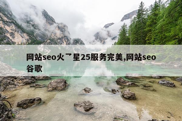 网站seo火乛星25服务完美,网站seo谷歌