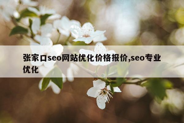 张家口seo网站优化价格报价,seo专业优化