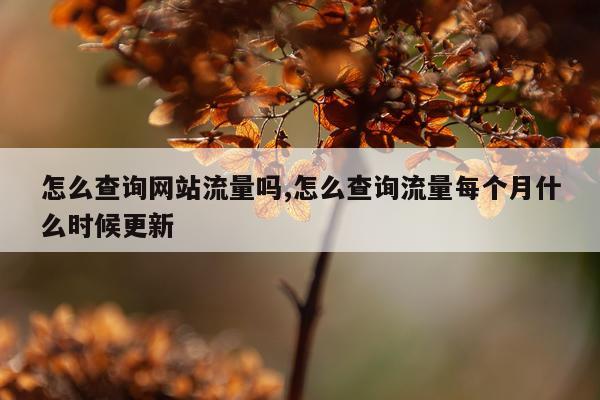 怎么查询网站流量吗,怎么查询流量每个月什么时候更新