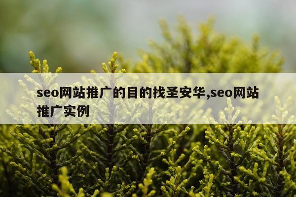 seo网站推广的目的找圣安华,seo网站推广实例