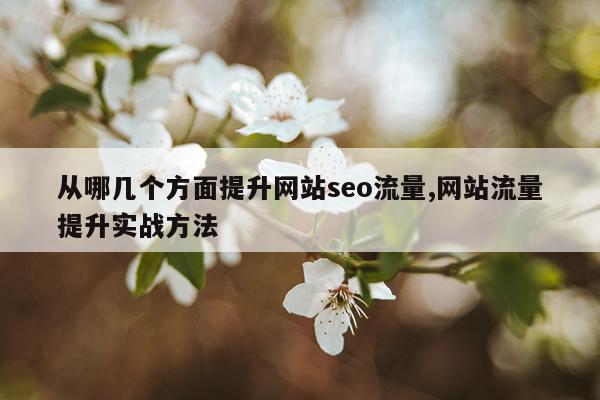 从哪几个方面提升网站seo流量,网站流量提升实战方法
