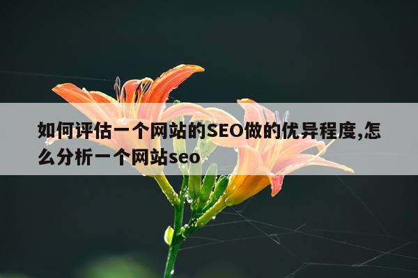 如何评估一个网站的SEO做的优异程度,怎么分析一个网站seo