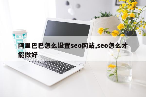 阿里巴巴怎么设置seo网站,seo怎么才能做好