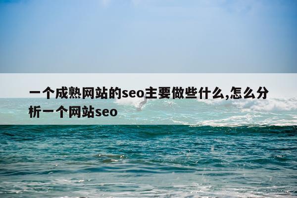 一个成熟网站的seo主要做些什么,怎么分析一个网站seo