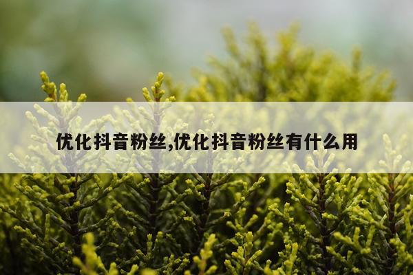 优化抖音粉丝,优化抖音粉丝有什么用