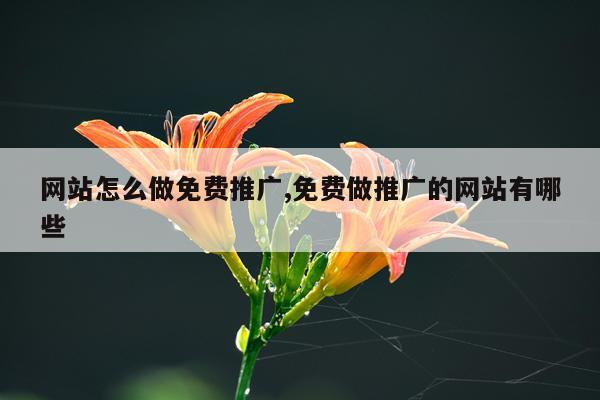 网站怎么做免费推广,免费做推广的网站有哪些