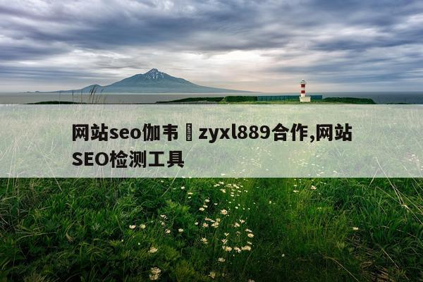 网站seo伽韦鈊zyxl889合作,网站SEO检测工具
