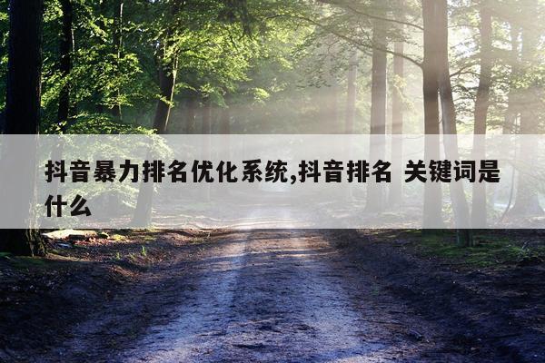 抖音暴力排名优化系统,抖音排名 关键词是什么