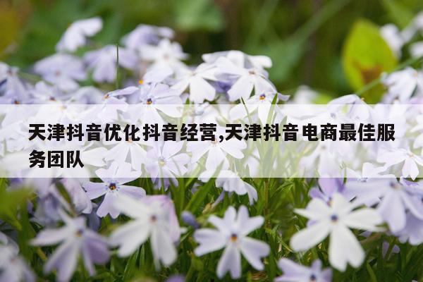 天津抖音优化抖音经营,天津抖音电商最佳服务团队