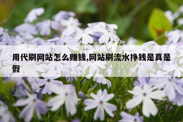 用代刷网站怎么赚钱,网站刷流水挣钱是真是假