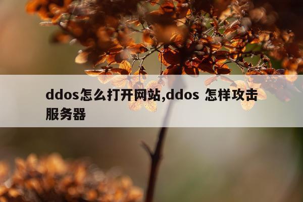 ddos怎么打开网站,ddos 怎样攻击服务器
