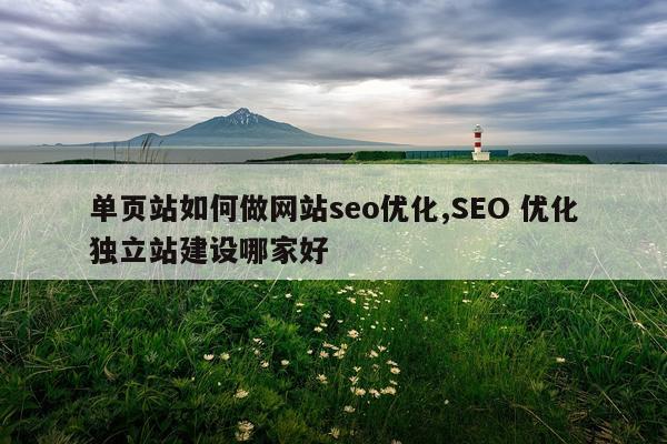 单页站如何做网站seo优化,SEO 优化独立站建设哪家好