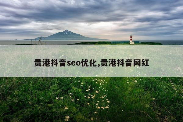 贵港抖音seo优化,贵港抖音网红