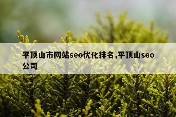 平顶山市网站seo优化排名,平顶山seo公司