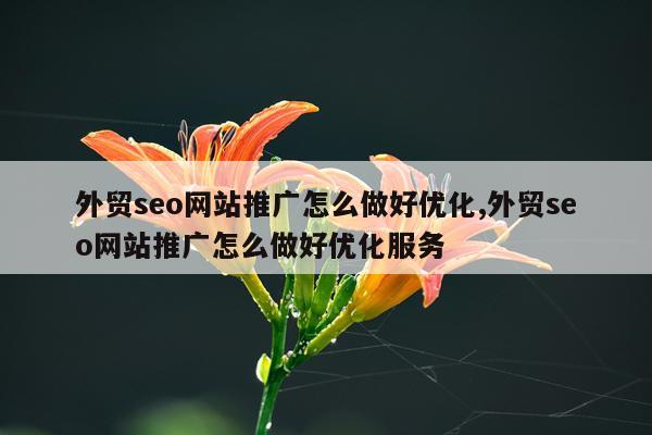 外贸seo网站推广怎么做好优化,外贸seo网站推广怎么做好优化服务