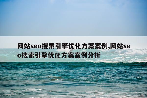 网站seo搜索引擎优化方案案例,网站seo搜索引擎优化方案案例分析