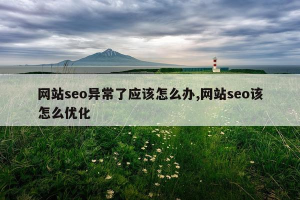 网站seo异常了应该怎么办,网站seo该怎么优化