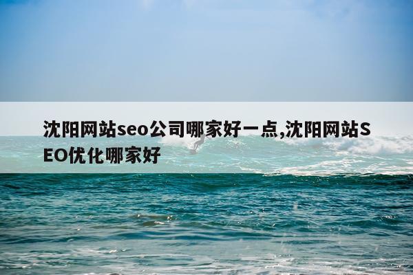 沈阳网站seo公司哪家好一点,沈阳网站SEO优化哪家好