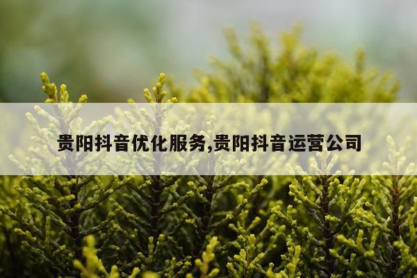 贵阳抖音优化服务,贵阳抖音运营公司