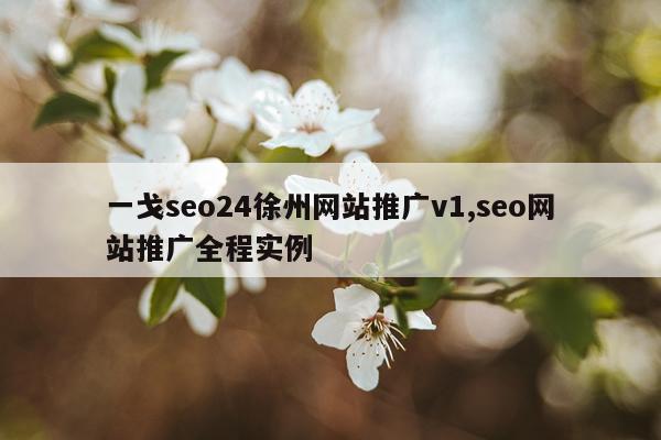 一戈seo24徐州网站推广v1,seo网站推广全程实例