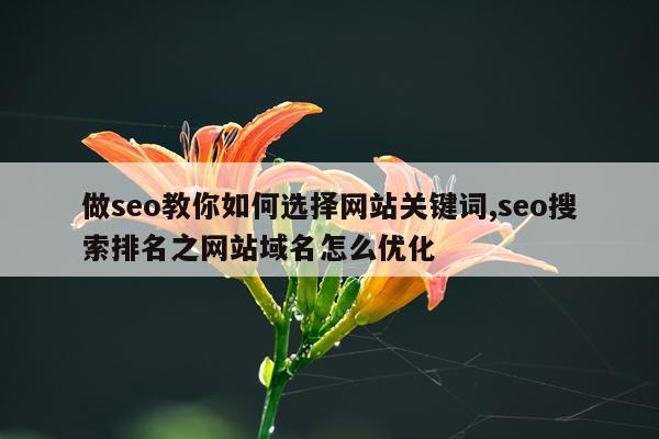 做seo教你如何选择网站关键词,seo搜索排名之网站域名怎么优化