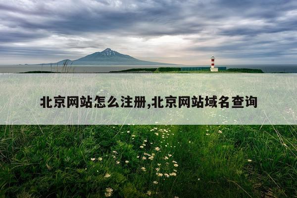 北京网站怎么注册,北京网站域名查询
