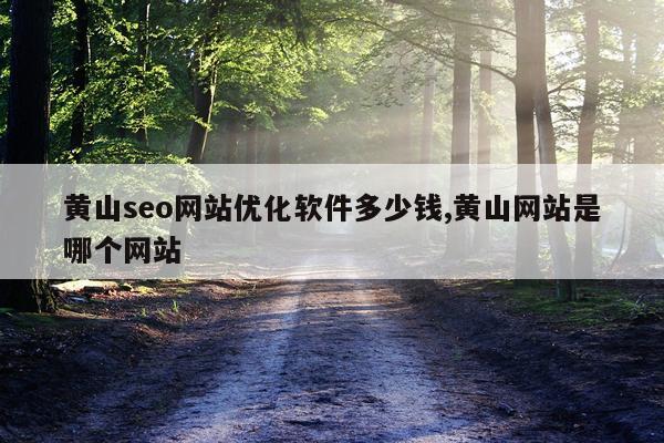 黄山seo网站优化软件多少钱,黄山网站是哪个网站