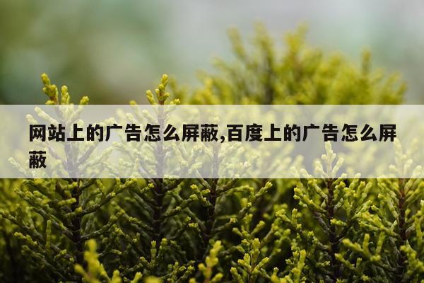 网站上的广告怎么屏蔽,百度上的广告怎么屏蔽