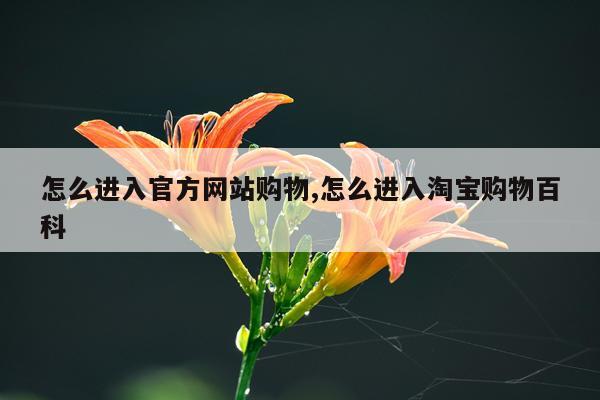 怎么进入官方网站购物,怎么进入淘宝购物百科
