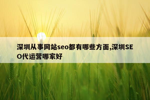 深圳从事网站seo都有哪些方面,深圳SEO代运营哪家好