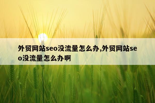 外贸网站seo没流量怎么办,外贸网站seo没流量怎么办啊