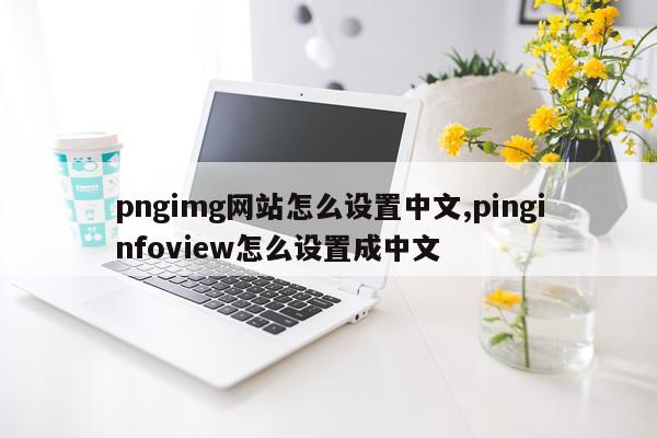 pngimg网站怎么设置中文,pinginfoview怎么设置成中文