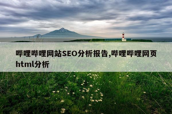 哔哩哔哩网站SEO分析报告,哔哩哔哩网页html分析