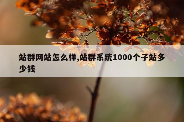 站群网站怎么样,站群系统1000个子站多少钱