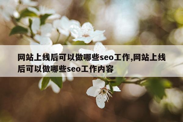 网站上线后可以做哪些seo工作,网站上线后可以做哪些seo工作内容