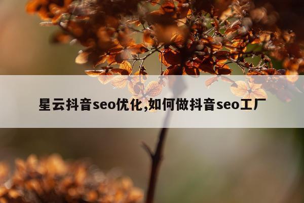 星云抖音seo优化,如何做抖音seo工厂