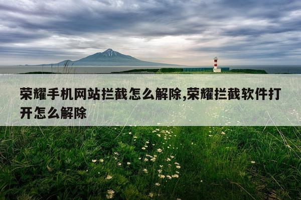 荣耀手机网站拦截怎么解除,荣耀拦截软件打开怎么解除
