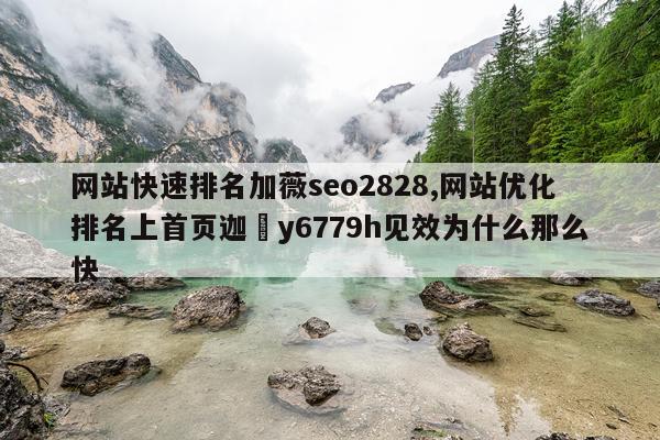 网站快速排名加薇seo2828,网站优化排名上首页迦幑y6779h见效为什么那么快
