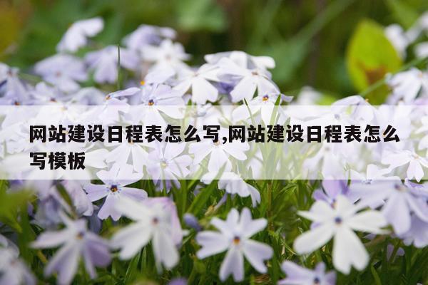网站建设日程表怎么写,网站建设日程表怎么写模板