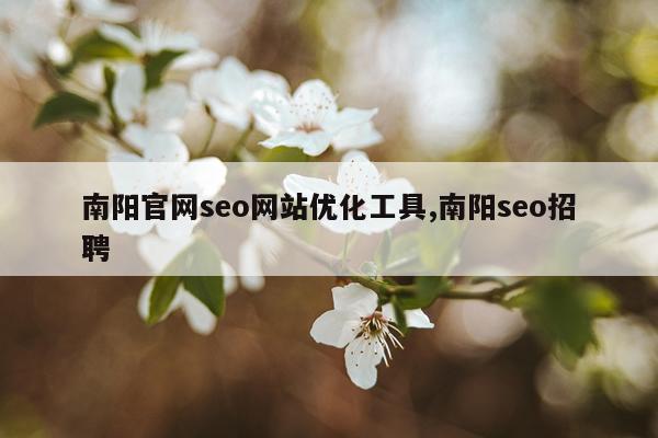 南阳官网seo网站优化工具,南阳seo招聘
