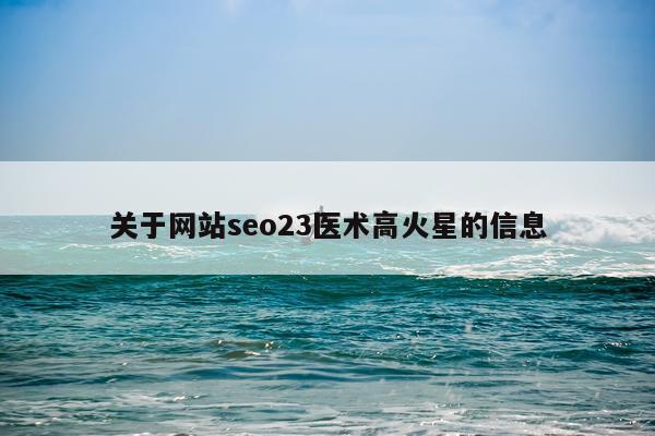关于网站seo23医术高火星的信息