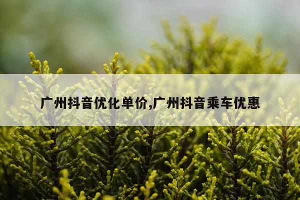 广州抖音优化单价,广州抖音乘车优惠