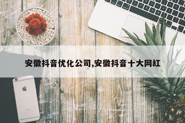 安徽抖音优化公司,安徽抖音十大网红