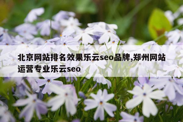 北京网站排名效果乐云seo品牌,郑州网站运营专业乐云seo