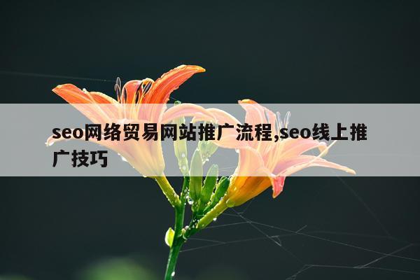 seo网络贸易网站推广流程,seo线上推广技巧