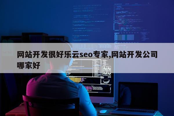 网站开发很好乐云seo专家,网站开发公司哪家好